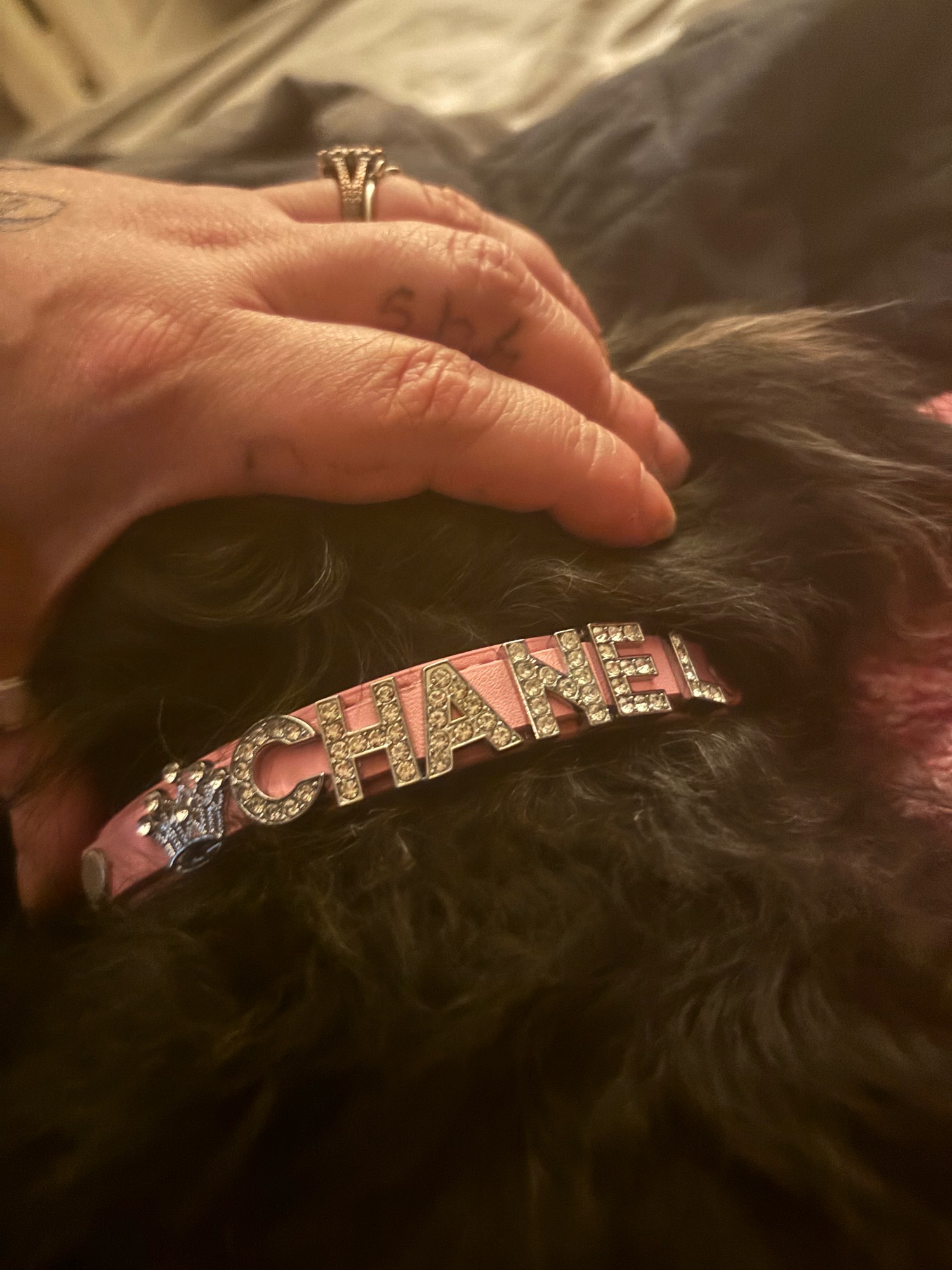 Personalized Dog Collar - Faux Leather Puppy Cat ID Collars - with Rhinestone Heart Star Shaped - Dog Accessory for Small Medium And Large Dogs photo review