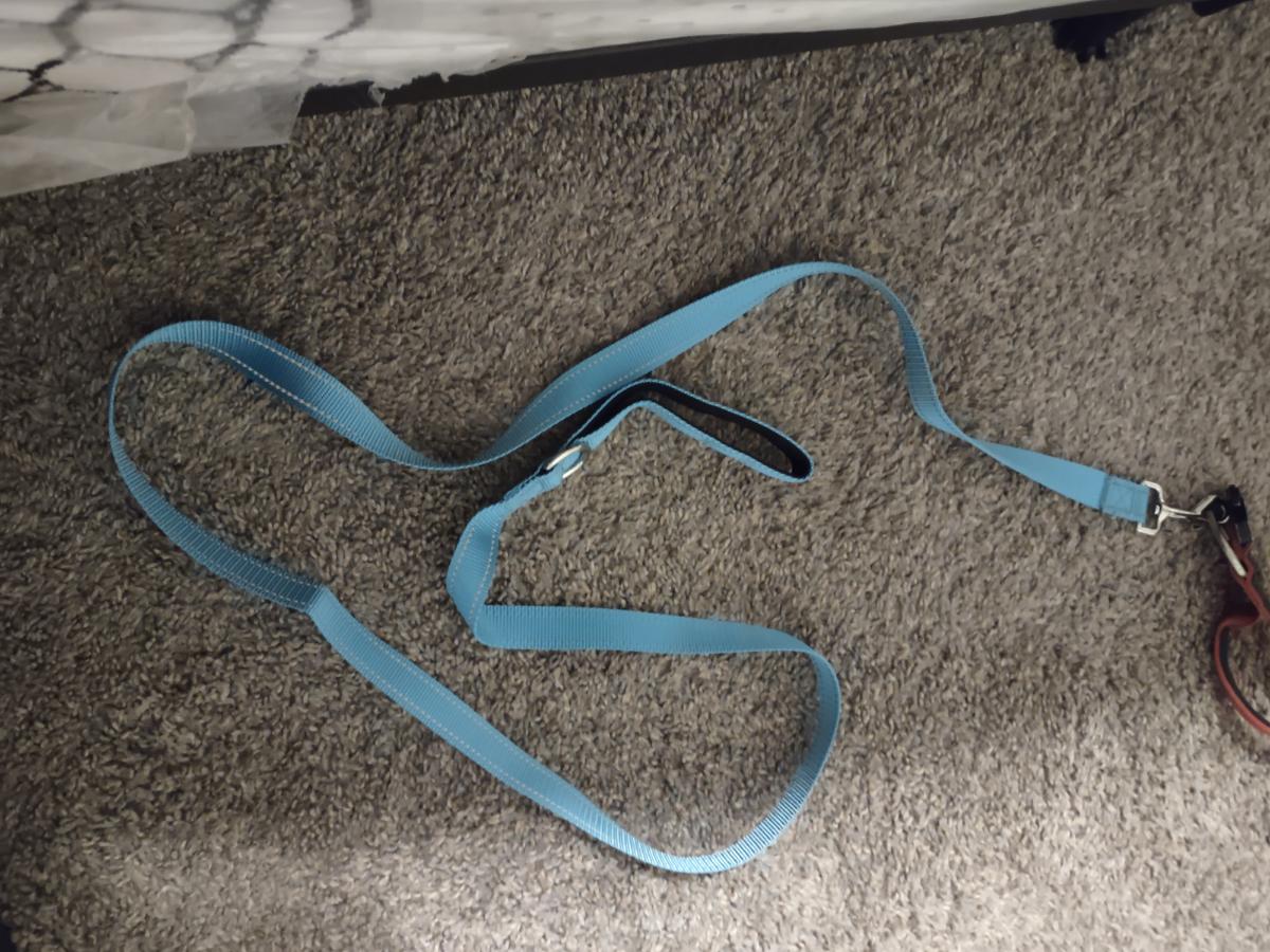 MITOOE 1pc - Single Sided Reflective Dog Leash - Soft Neoprene Padded Breathable - 1 Inch Wide Pet Leash 6FT/5FT/4FT - for Medium & Large Dogs Walking And Training - Without Battery photo review