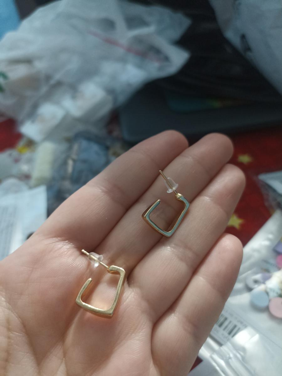 Temperament Woman'S Geometric Minimalist Niche Stud Earrings All-Match Fashion Ear Jewelry photo review