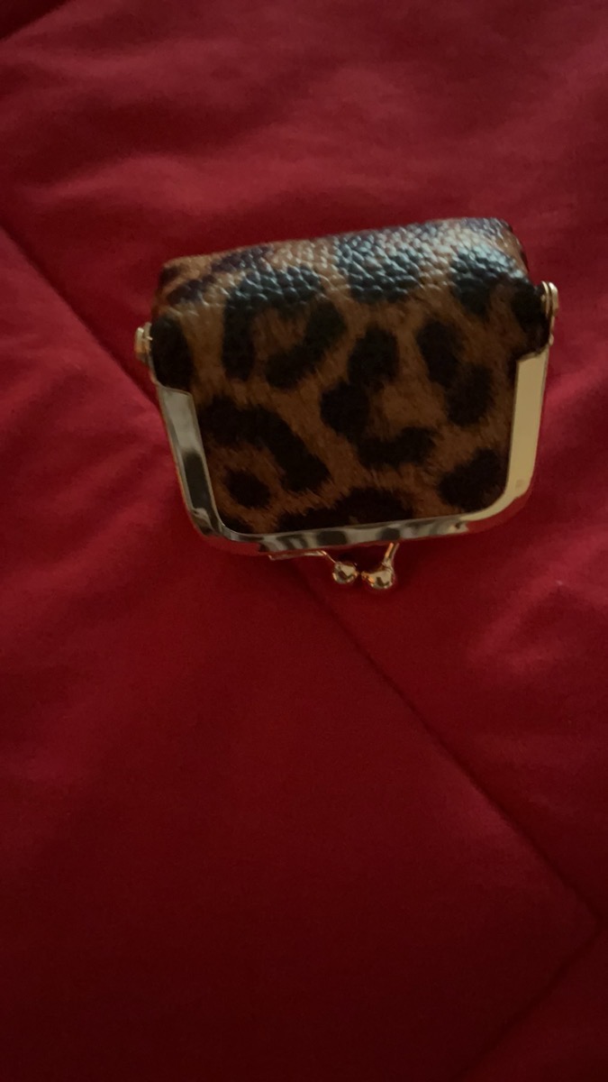 Women's Leopard Print Mini Vintage Style Portable Jewelry Box, Coin Purse with Clasp, Mini Travel Ring Box, Travel Jewelry Case, Women's Cosmetic Organizer, Suitable for Storing Earrings, Rings, Necklaces, and Bracelets. photo review
