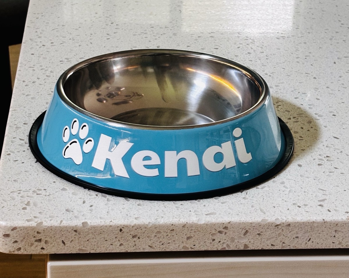 [Anti Slip Pet Bowl] Personalized Anti Slip Stainless Steel Pet Bowl with Custom Name - Perfect for Cats And Dogs, Perfect for Food And Water Supply photo review