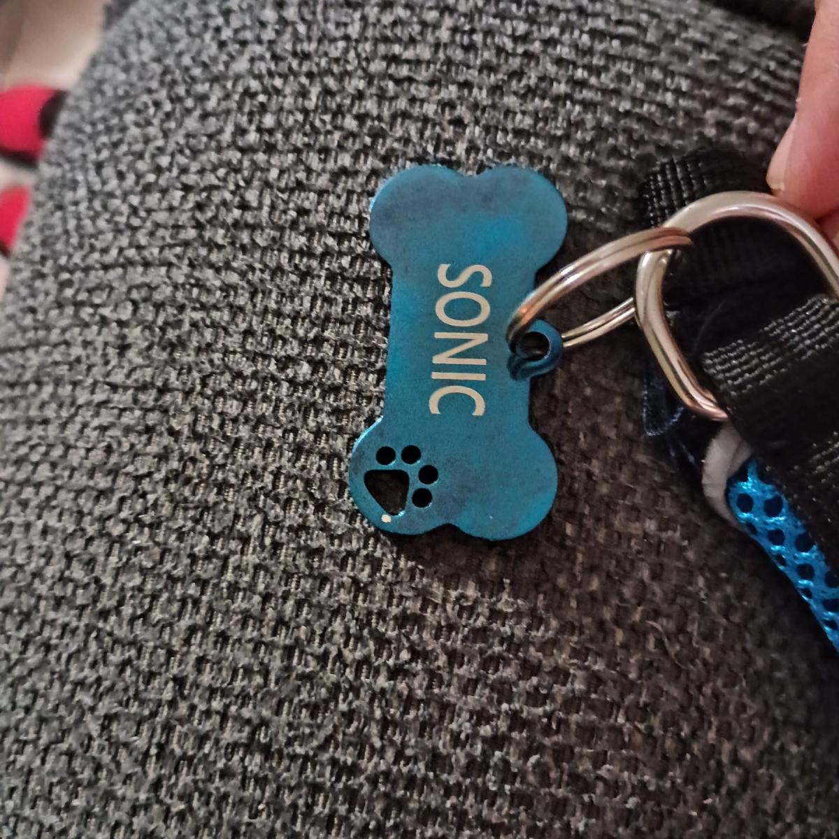 1pc, Custom Personalized Dog Tag, Stainless Steel Tag with Engraved Name and Phone Number, Durable Pet Anti-Loss ID Tag, Dog Name Tag photo review